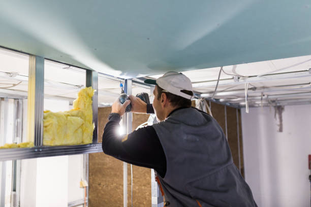 Professional Insulation Contractor in AR