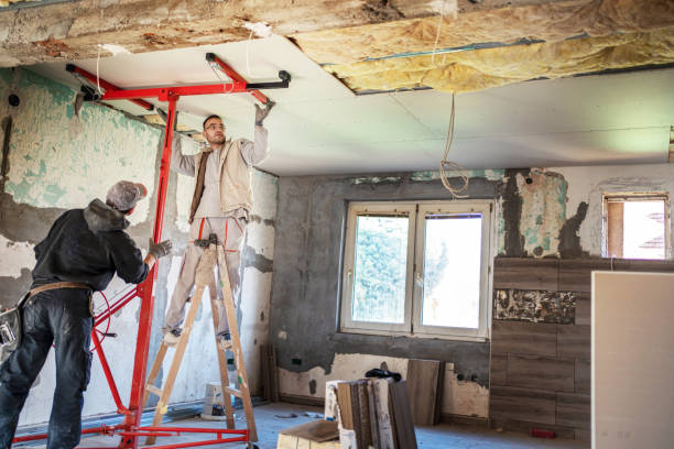 Best Residential Insulation in Ozk, AR