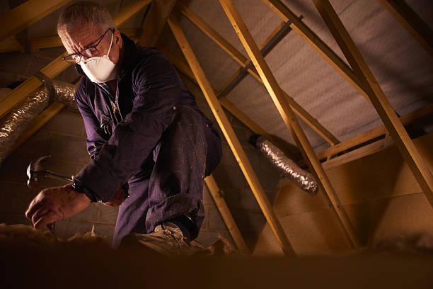 Best Commercial Insulation in Ozk, AR